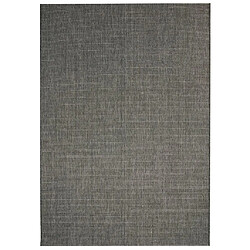 vidaXL Tapis d'extérieur/d'intérieur Aspect sisal 80x150 cm Gris foncé