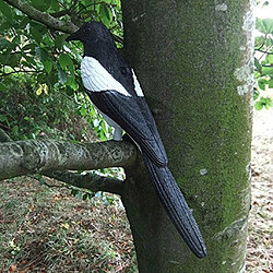 Magpie Decoy Sculptures