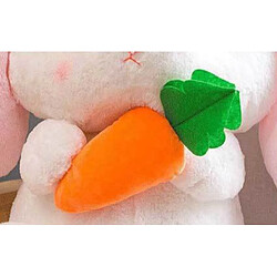 Universal 22 cm peluche mignonne peluche lapin peluche lapin enfant oreiller poupée cadeau d'anniversaire créatif enfant bébé accompagné d'un jouet de couchage | Peluche animaux pas cher