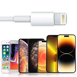 Avis Chargeur Secteur USB + Câble USB vers iPhone Lightning, LinQ Blanc