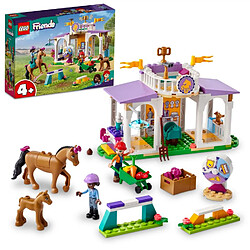 Avis 41746 Le dressage équestre Lego Friends