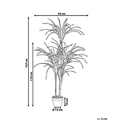 Avis Beliani Plante artificielle DRACAENA ANITA 147 cm