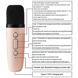 Acheter Yonis Enceinte Bluetooth Microphone LED Portable Rose