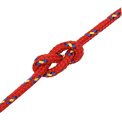 Acheter vidaXL Corde de bateau 3 mm - Rouge 25 m