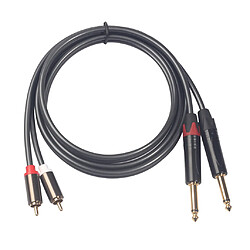 Câble Audio 2 x RCA Mâle vers 2 x Jack 6,35 mm Mono, Longueur 1.5m Haute Fidélité