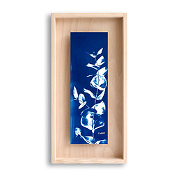 Swabdesign Cadre Carpë cyanotype Eucalytus 40x20cm