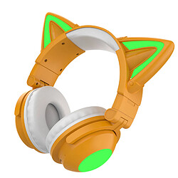 Avis Casque d'oreille de chat