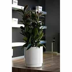 Pot Plastiken Blanc Plastique Carré Ø 38 cm