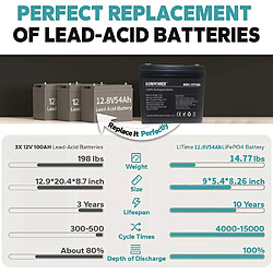 Batterie de secours au lithium HANIWINNER HD009-07 12,8 V 54 Ah LiFePO4, 691,2 Wh d'énergie, plus de 2 000 cycles, BMS intégré pas cher