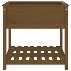 Acheter vidaXL Jardinière avec étagère Marron miel 82,5x82,5x81 cm Bois de pin