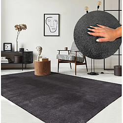 Tapis Moelleux à Poils Courts Gris Foncé 80x200cm pas cher