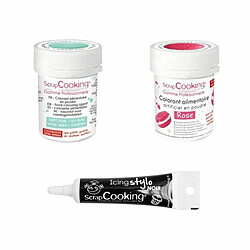 Scrapcooking 2 colorants alimentaires rose-vert d'eau + Stylo glaçage noir