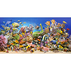 Underwater life,Puzzle 4000 Teile - Castorland