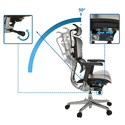 Chaise de bureau / Fauteuil de direction ERGOHUMAN GEN2 Cuir brun foncé hjh OFFICE