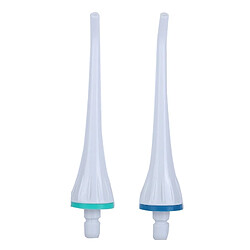 Wewoo Brosse à dents pour Irrigateur oral 5002 HC7705 2 PCS 5901 Buses de rechange