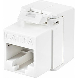 Adaptateur Renkforce RF-4531600 Keystone CAT 6a 1 pc(s)