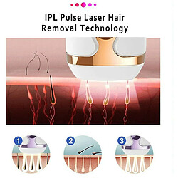 Acheter Chrono Système d'épilation IPL, système d'épilation laser permanente indolore 500 000 flash(Violet)