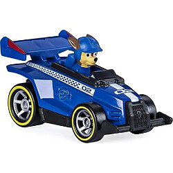 Paw Patrol PAT PATROUILLE Véhicule TRUE METAL™ READY RACE RESCUE - Modele aléatoire