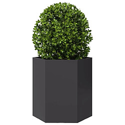 Acheter vidaXL Jardinières 2 pcs noir hexagone 46x40x45 cm acier