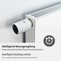 Acheter Brennenstuhl Zigbee HeizkÃ¶pertherm. Connect 01