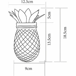 Avis Ananas solaire - GALIX