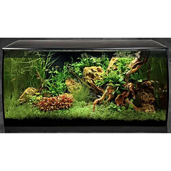 Acheter FLUVAL Aquarium équipé Flex 123 L - Noir