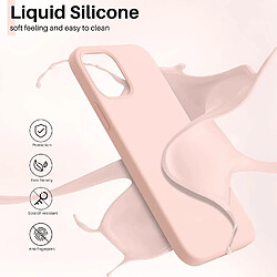 Coque Pour iPhone 12 - 12 Pro Silicone Rose + 2 Verres Trempes Little Boutik®