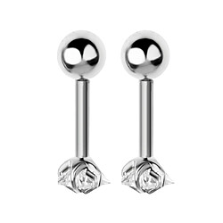 Acier inoxydable Barbell boucle d'oreille