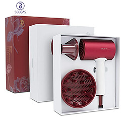 Universal H5 Sèche-cheveux électrique 1800W Sortie d'air Résistant à la chaleur Soufflage Corps en alliage Anion Brosse pour Sèche-cheveux Diffuseur de coiffeur