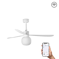 Faro Barcelona Ventilateur de Plafond Led Blanc Grande Boule Smart 20W 2700K, 6 Vitesses