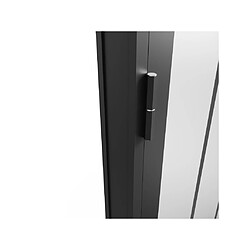 Acheter Vente-Unique Bloc porte réversible en aluminium et verre trempé dépoli style atelier - H204 x L73 cm - Noir - ERMELO