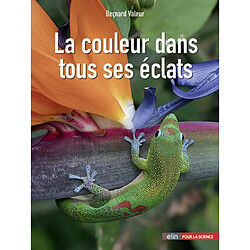 La couleur dans tous ses éclats