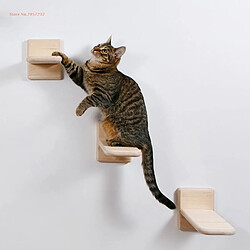 Acheter Universal 1 étagère d'escalade murale pour chat créatif chaton jouet | meubles scratch