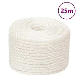 vidaXL Corde de travail Blanc 10 mm 25 m polypropylène