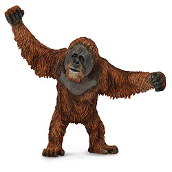 Figurines Collecta Figurine : Orang-Outan