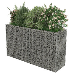 Acheter Maison Chic Jardinière,Lit surélevé - Bac à fleurs - pot de fleur à gabion Acier galvanisé 180x50x100 cm -GKD33571