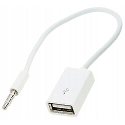 GUPBOO Câble Adaptateur AK290 Mini Jack 3.5mm AUX vers USB OTG,JL2133