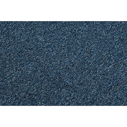 Acheter RUGSX MOQUETTE DES LOCAUX SUPERSTAR 380 bleu 100x500 cm