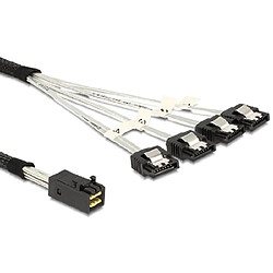 DELOCK CABLE MINI SAS HD SFF 8643 X4 PRISE MÂLE - 4 X SATA FEMELLE 1 M