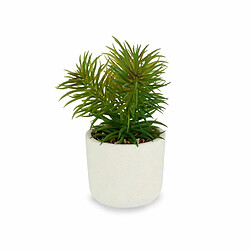 Ibergarden Plante décorative Blanc Vert (14 x 20 x 14 cm) (12 Unités)