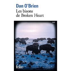 Les bisons de Broken Heart