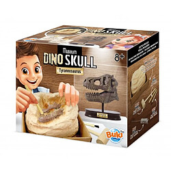 Buki Museum Dino skull Crane de T Rex