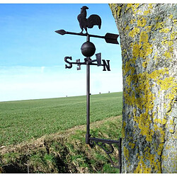 Avis L'Héritier Du Temps Girouette Murale Motif Coq - Fonte Marron