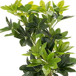 Plante artificielle / Arbre artificiel SCHEFFLERA Plastique Vert hjh OFFICE