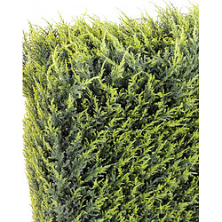 Pegane HAIE artificielle haute gamme Spécial extérieur / Cyprès artificiel Juniperus vert - Dim : 187 x 31 x 100 cm