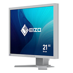 EIZO FlexScan S2134 écran plat de PC 54,1 cm (21.3') 1600 x 1200 pixels LCD Gris