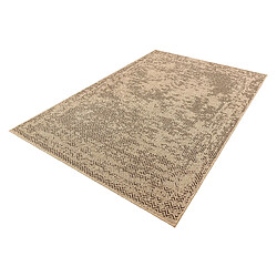 Hadorn Tapis 180x120 beige Harmony