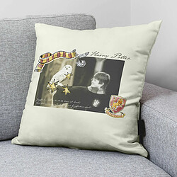 Housse de coussin Harry Potter Little Memories 50 x 50 cm