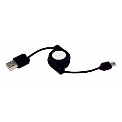 Sony T'nB - CIUS032787 - Câble USB 2.0/mini USB 5 Pin 0,8 m