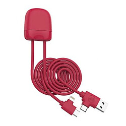 XOOPAR Câble 4 en 1 Ice-C Ecoresponsable USB A, USB C / USB C, Lightning 1m Rouge